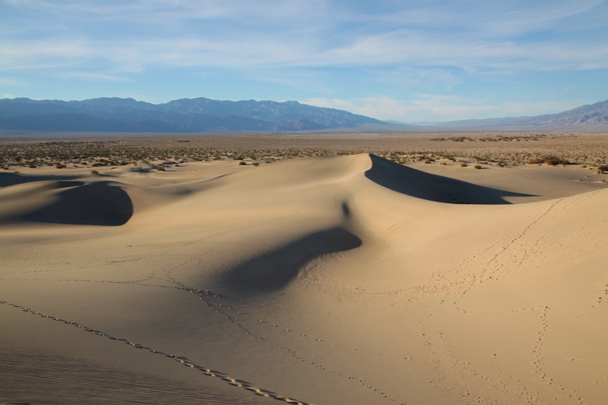 Mesquite Dunes